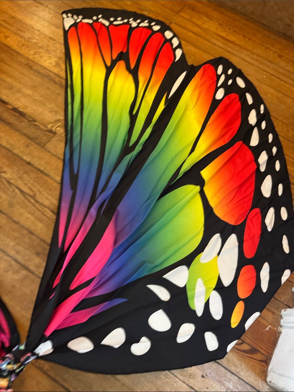 Rainbow Butterfly Wings Cape - Vibrant Multicolor - Picture 3 of 3